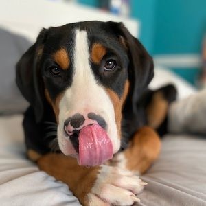 Meet your Posher, Makena